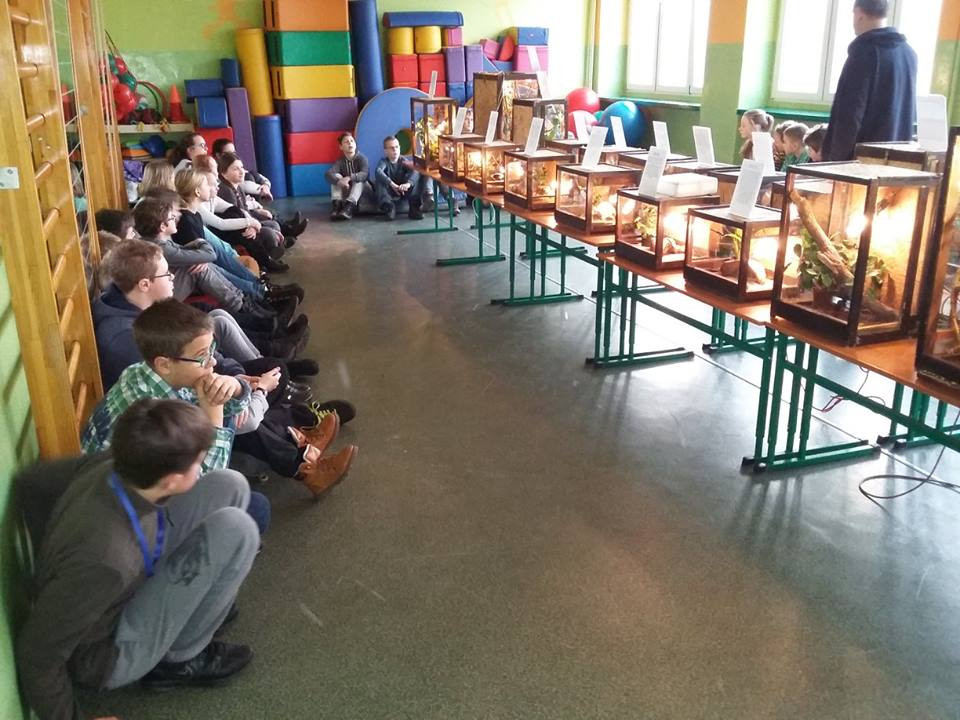 Pokazowa lekcja o zwierzętach egzotycznych w Szkole Podstawowej nr 4