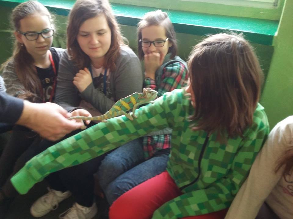Pokazowa lekcja o zwierzętach egzotycznych w Szkole Podstawowej nr 4