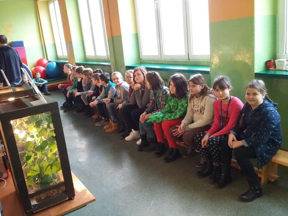 Pokazowa lekcja o zwierzętach egzotycznych w Szkole Podstawowej nr 4