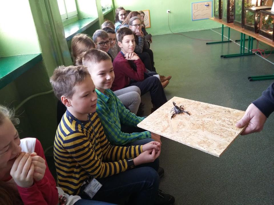 Pokazowa lekcja o zwierzętach egzotycznych w Szkole Podstawowej nr 4