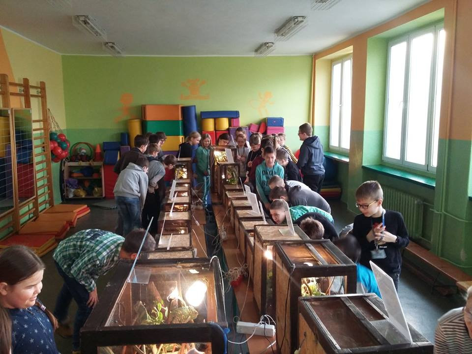 Pokazowa lekcja o zwierzętach egzotycznych w Szkole Podstawowej nr 4