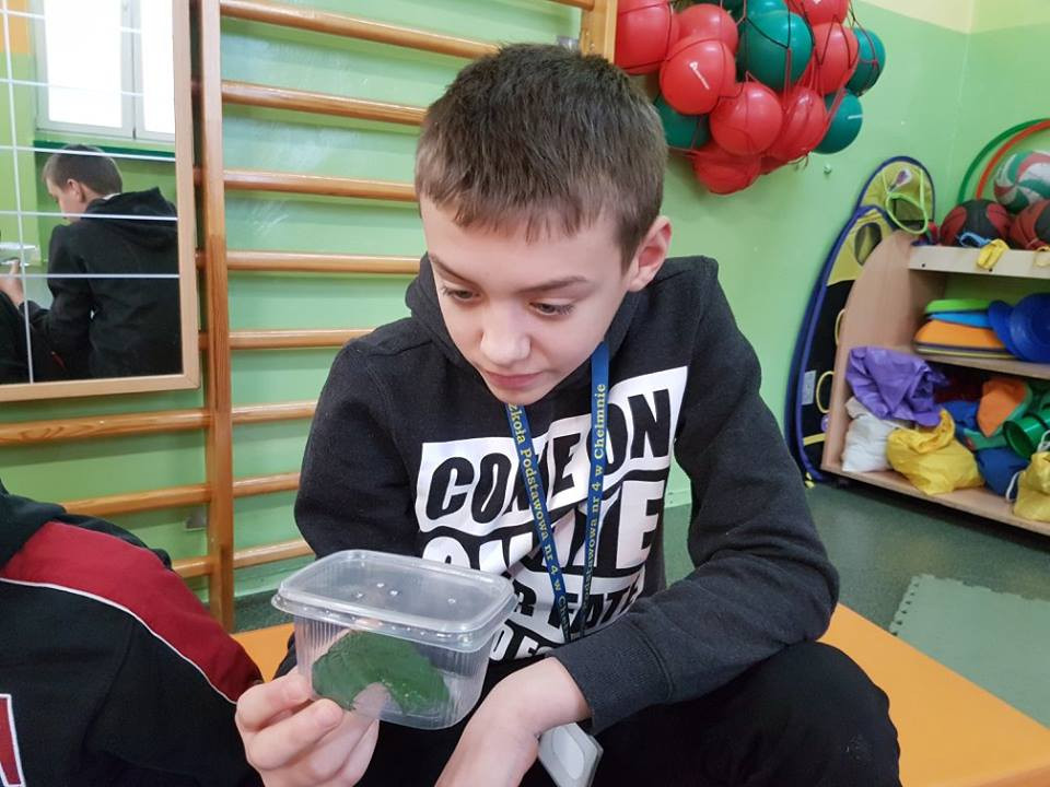 Pokazowa lekcja o zwierzętach egzotycznych w Szkole Podstawowej nr 4