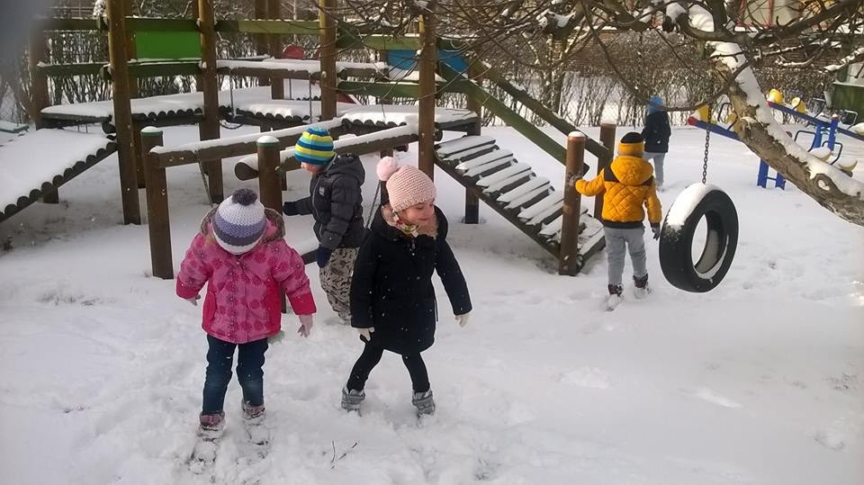 Akcja dokarmiania ptaków zimą w Niepublicznym Przedszkolu 