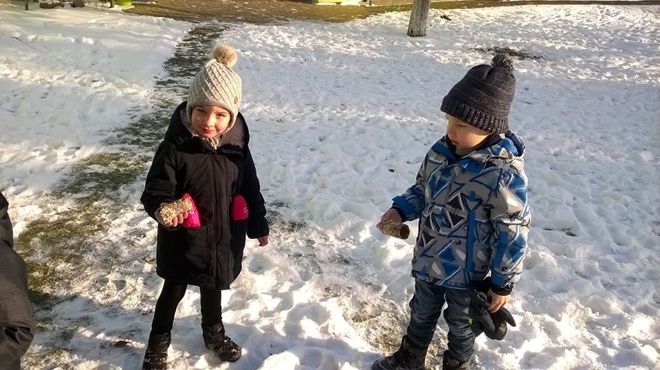 Akcja dokarmiania ptaków zimą w Niepublicznym Przedszkolu 