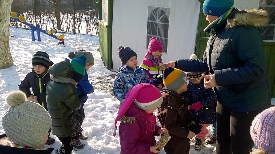 Akcja dokarmiania ptaków zimą w Niepublicznym Przedszkolu 