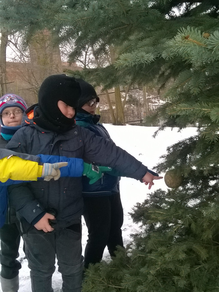 Z życia maluchów w 