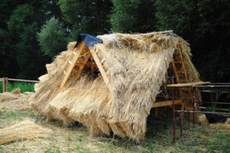 Młodzieżowe Centrum Kariery OHP w Chełmnie organizuje cykl darmowych szkoleń 