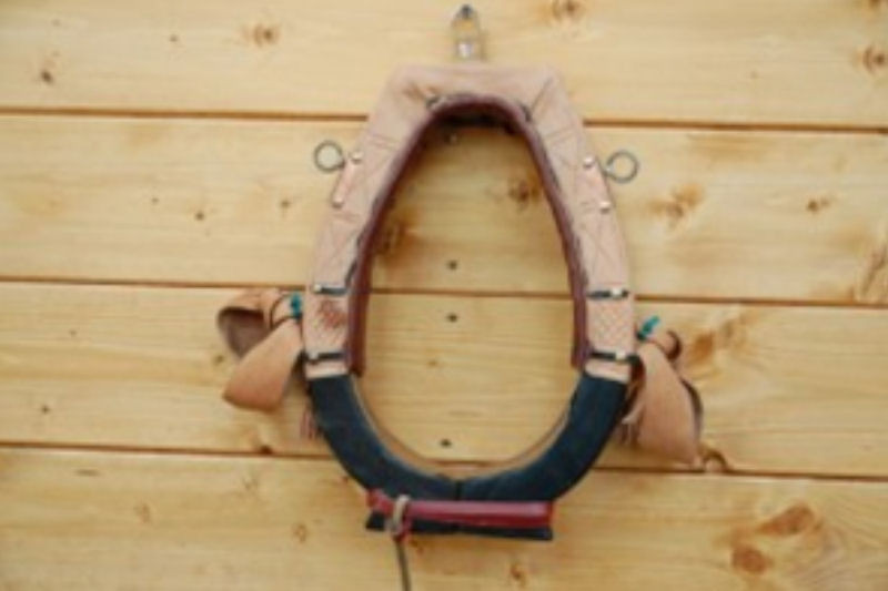 Młodzieżowe Centrum Kariery OHP w Chełmnie organizuje cykl darmowych szkoleń 