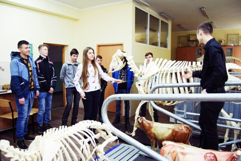 Spotkanie z ciekawymi zawodami - warsztaty w Zespole Szkół Centrum Kształcenia Praktycznego w Grubnie