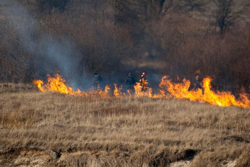 Stop wypalaniu traw - kampania społeczna powiat chełmiński