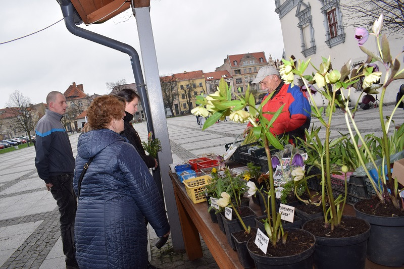 V Jarmark Wielkanocny 2017