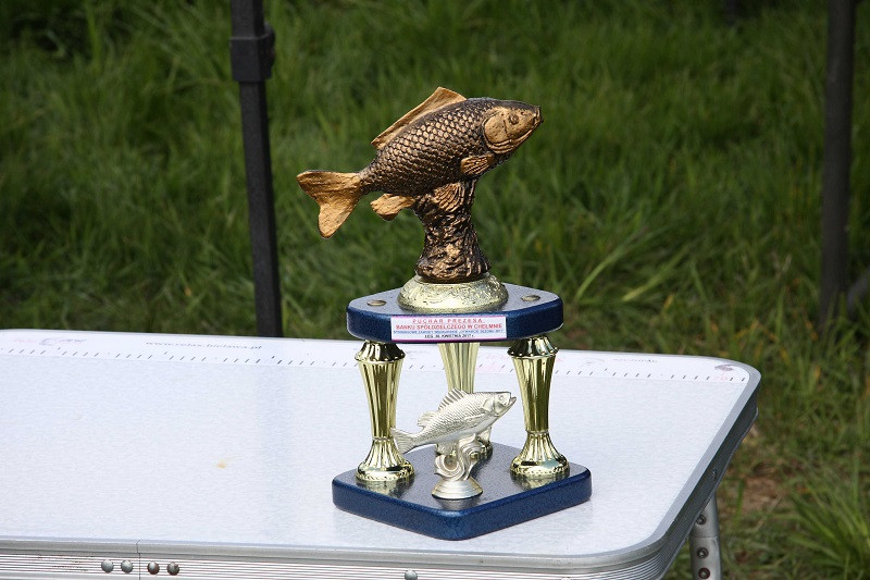 Zawody spinningowe Koła PZW 