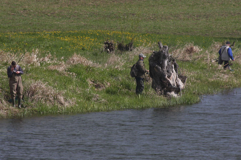 Zawody spinningowe Koła PZW 
