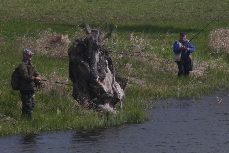 Zawody spinningowe Koła PZW 