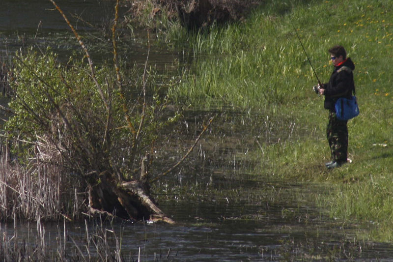 Zawody spinningowe Koła PZW 