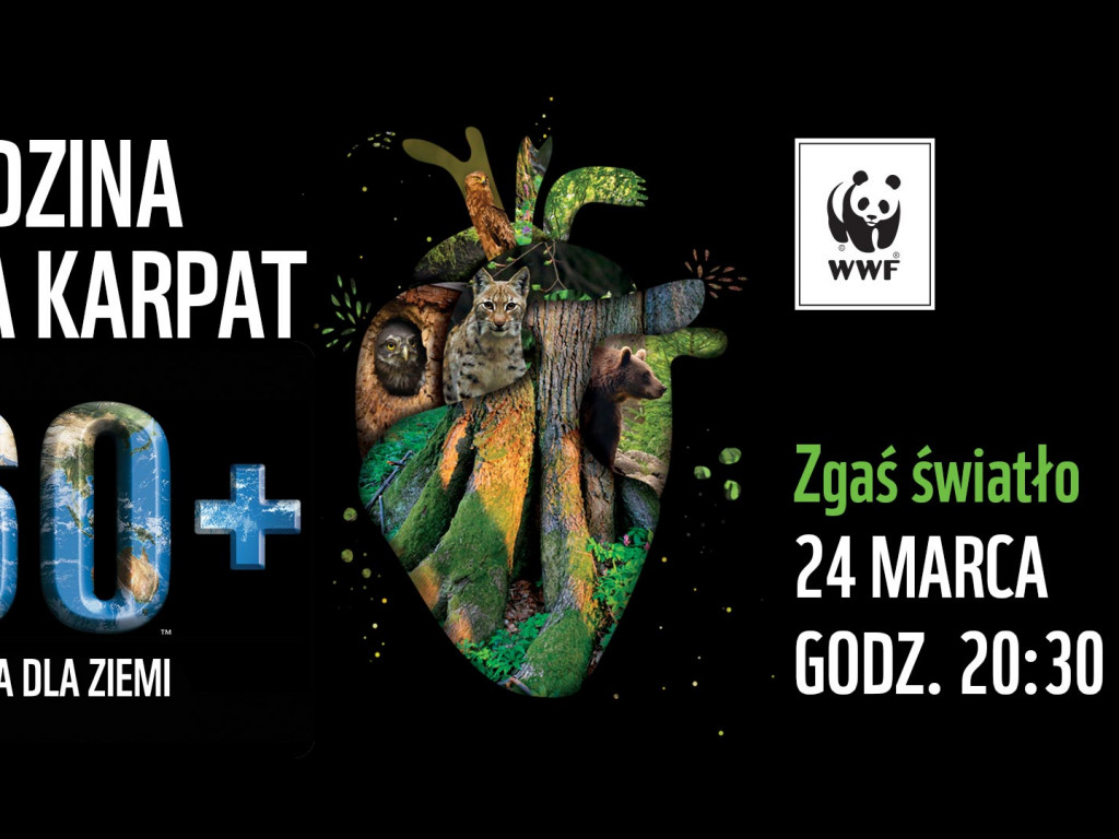 Chełmno, 24 marca 2018 o godzinie 20:30- Godzina dla Ziemi pod hasłem ?Ratujmy serce Karpat?