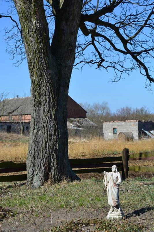 Historia najbliższej okolicy - zajęcia terenowe w ramach projektu edukacyjnego