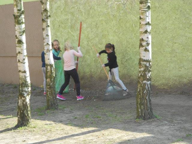 Ekoludki pani Joli - w poszukiwaniu różnych gatunków drzew