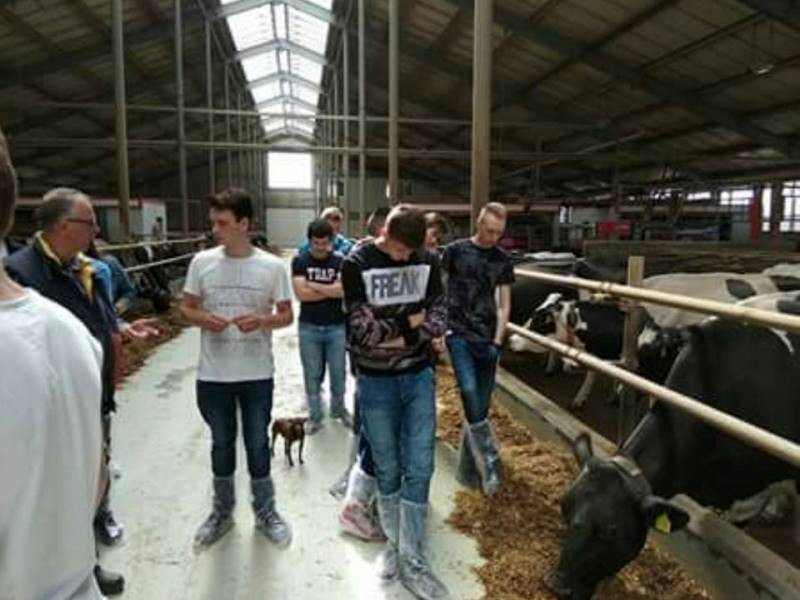 Innowacje systemu utrzymania bydła mlecznego - wizyta w nowoczesnej oborze w Kawęcinie