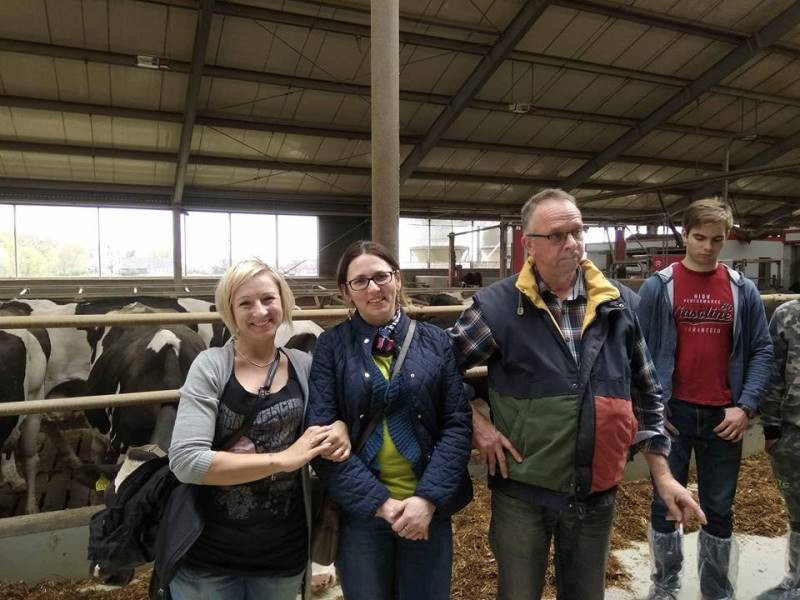 Innowacje systemu utrzymania bydła mlecznego - wizyta w nowoczesnej oborze w Kawęcinie