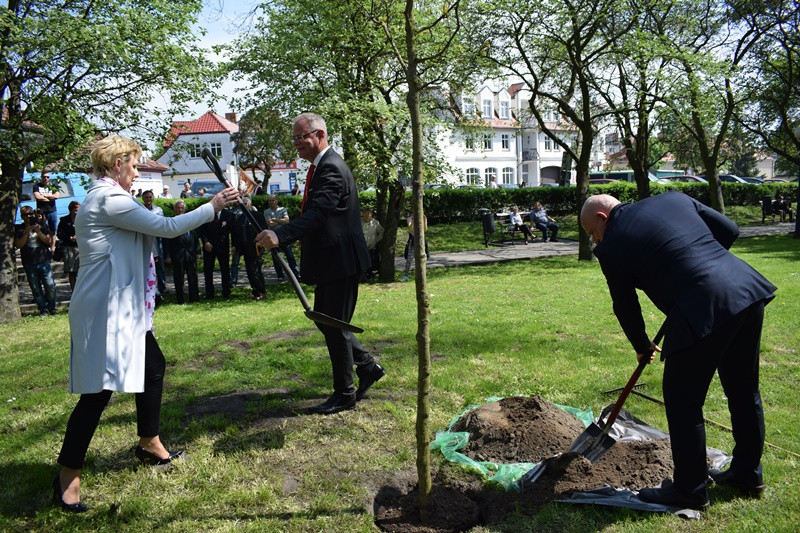 Symboliczne posadzenie DĘBU NIEPODLEGŁOŚCI dla upamiętnienia 100-lecia odzyskania niepodległości