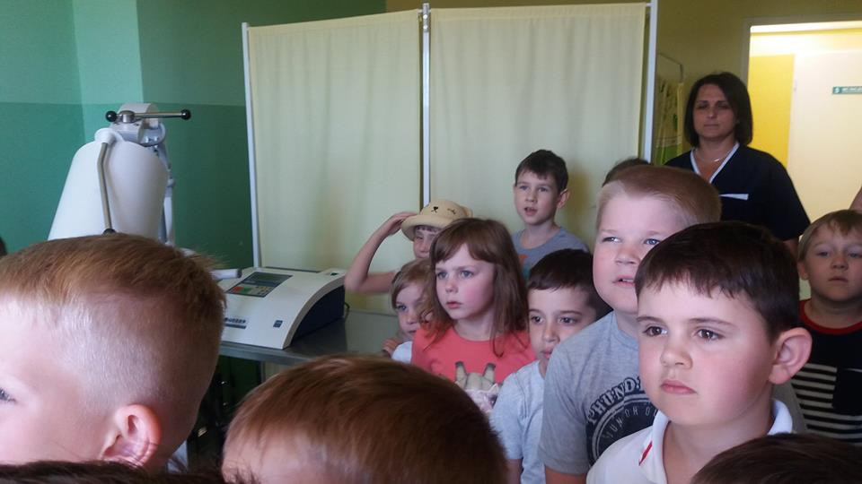 Sówki z 