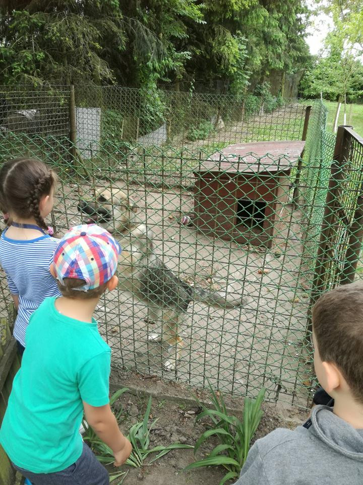 Sielski czas w gospodarstwie agroturystycznym Państwa Czernikowskich