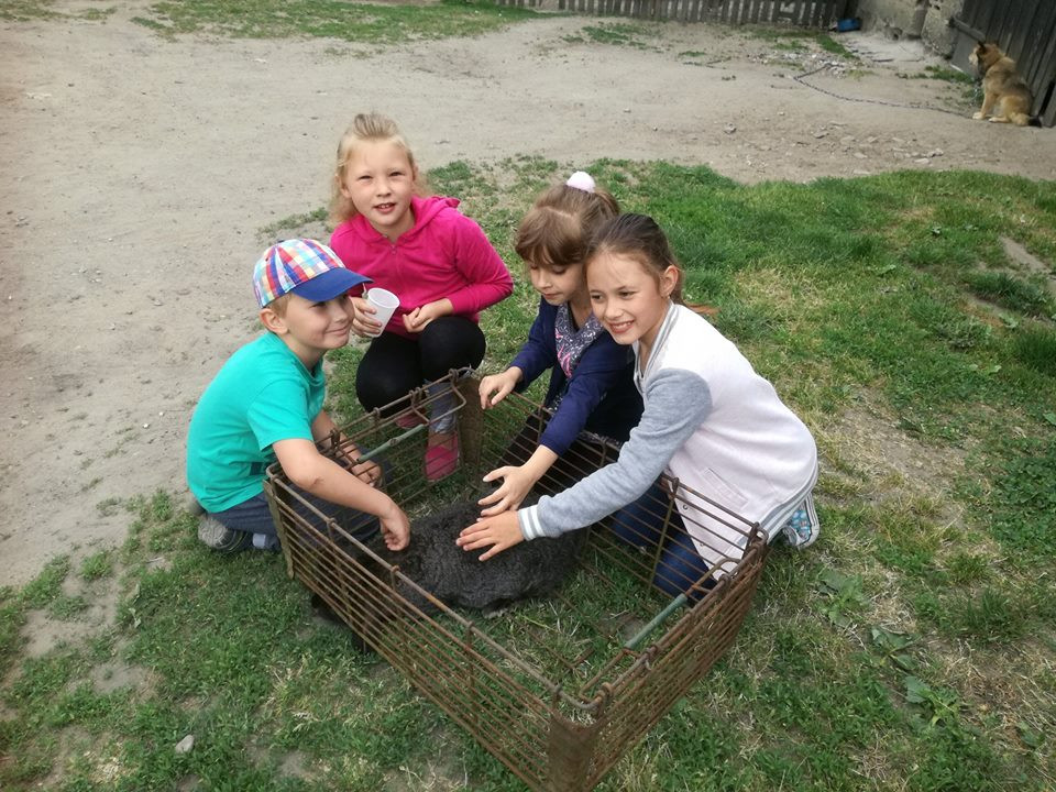 Sielski czas w gospodarstwie agroturystycznym Państwa Czernikowskich