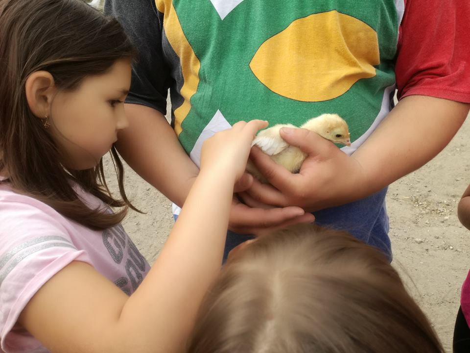 Sielski czas w gospodarstwie agroturystycznym Państwa Czernikowskich