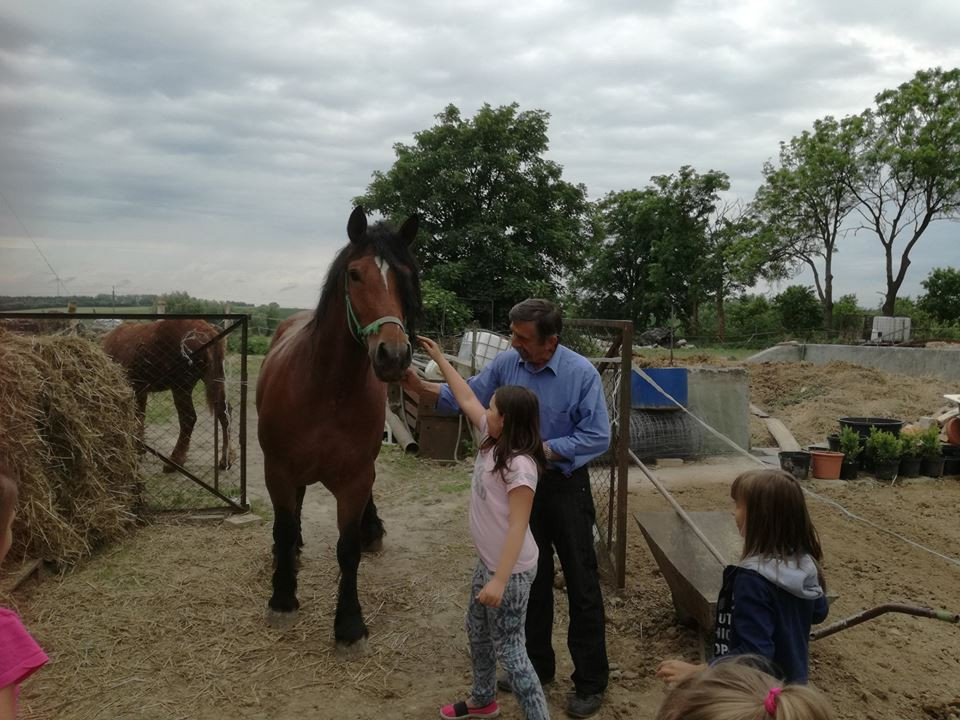 Sielski czas w gospodarstwie agroturystycznym Państwa Czernikowskich