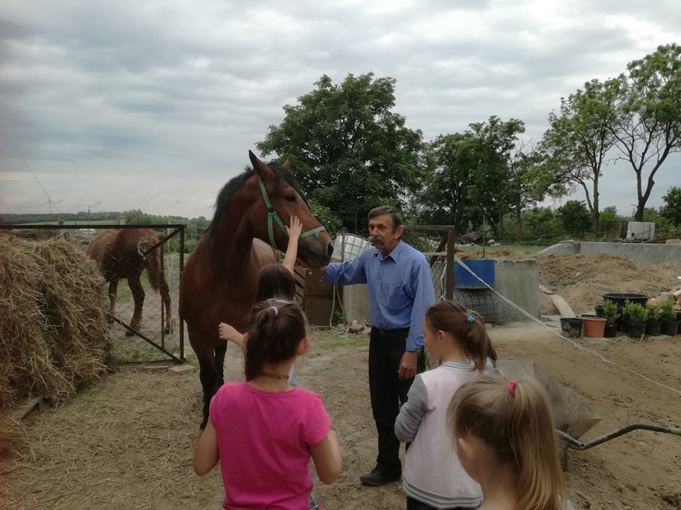 Sielski czas w gospodarstwie agroturystycznym Państwa Czernikowskich