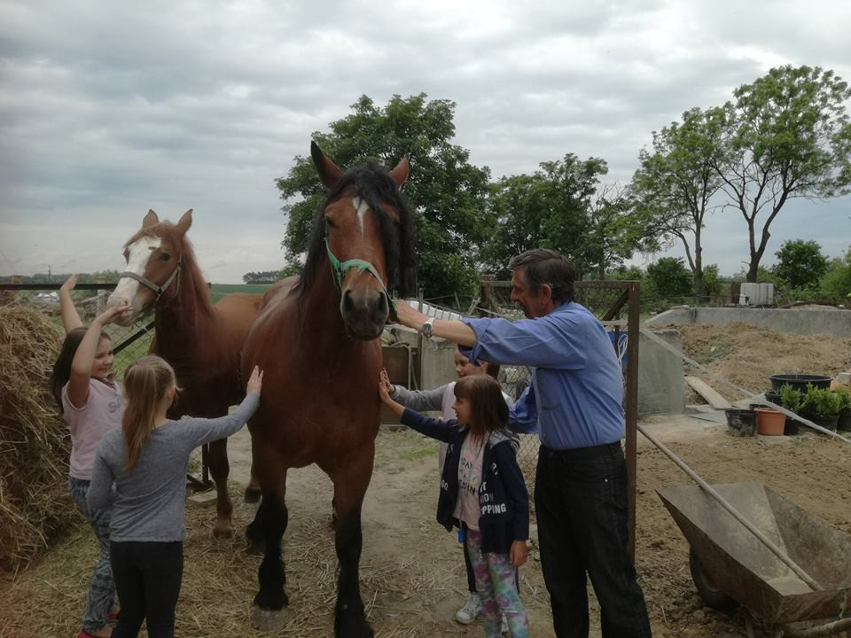 Sielski czas w gospodarstwie agroturystycznym Państwa Czernikowskich