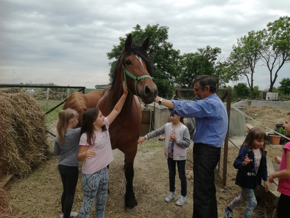 Sielski czas w gospodarstwie agroturystycznym Państwa Czernikowskich