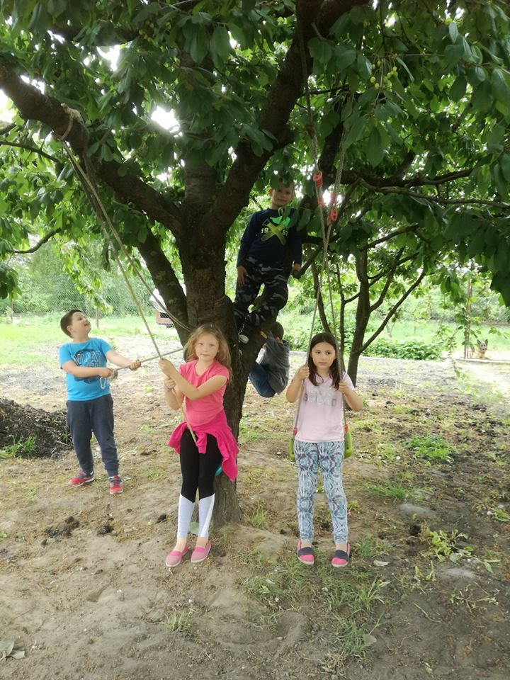 Sielski czas w gospodarstwie agroturystycznym Państwa Czernikowskich