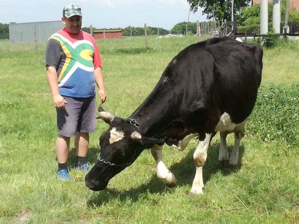 Sielski czas w gospodarstwie agroturystycznym Państwa Czernikowskich