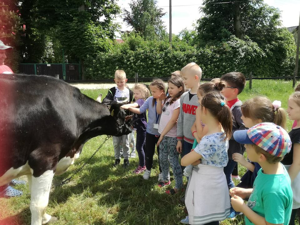 Sielski czas w gospodarstwie agroturystycznym Państwa Czernikowskich