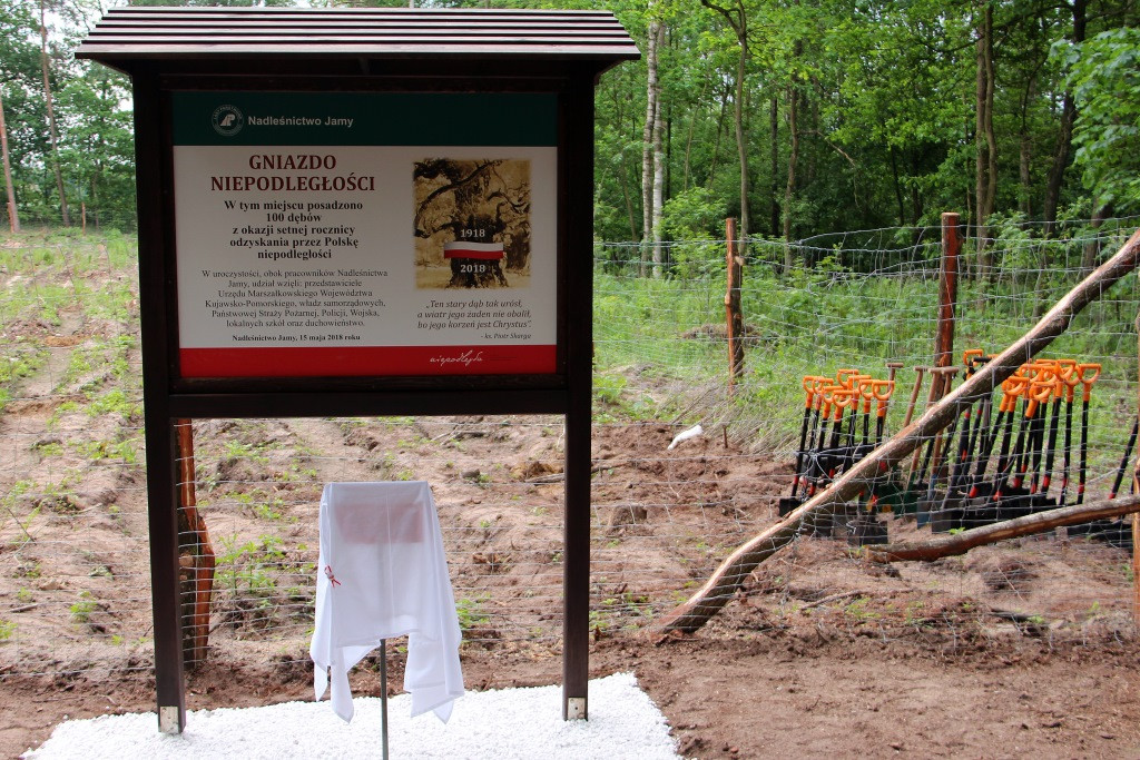 100 Dębów na 100 rocznicę