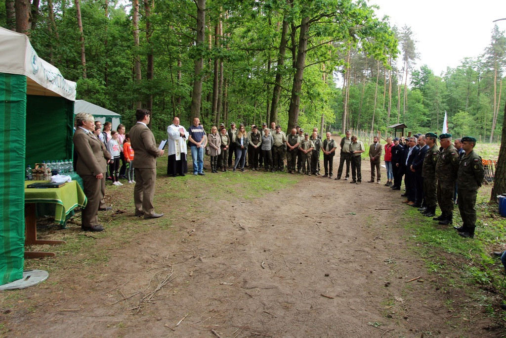 100 Dębów na 100 rocznicę