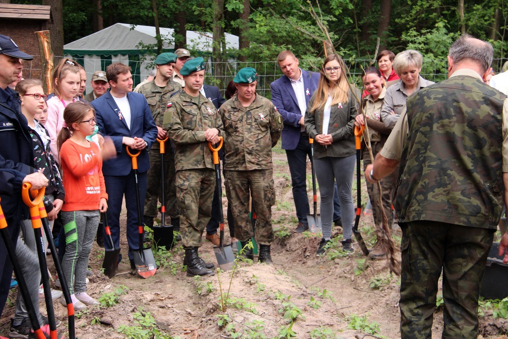 100 Dębów na 100 rocznicę