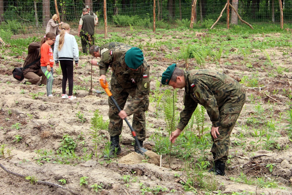 100 Dębów na 100 rocznicę
