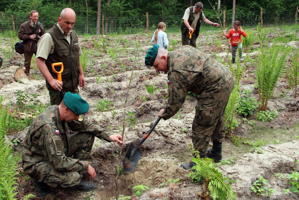100 Dębów na 100 rocznicę
