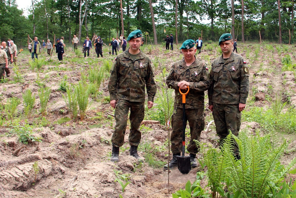 100 Dębów na 100 rocznicę