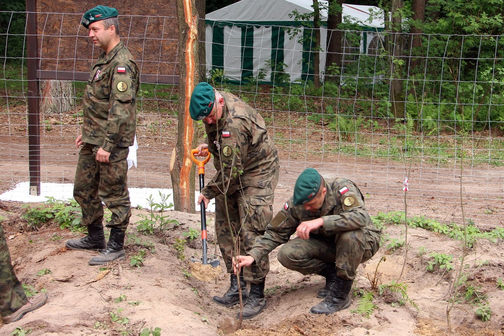 100 Dębów na 100 rocznicę