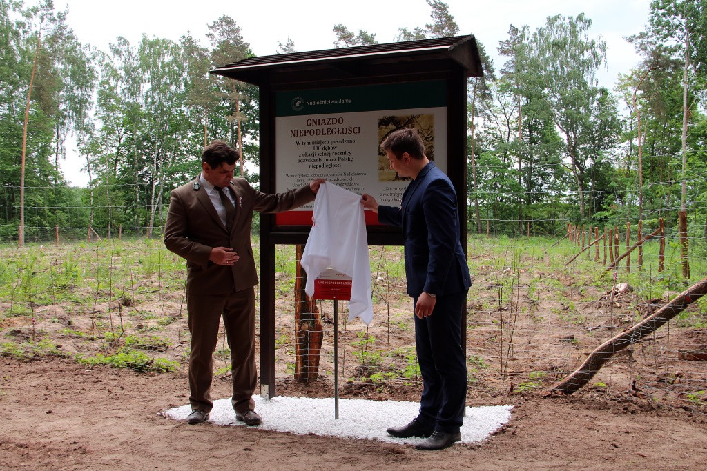 100 Dębów na 100 rocznicę