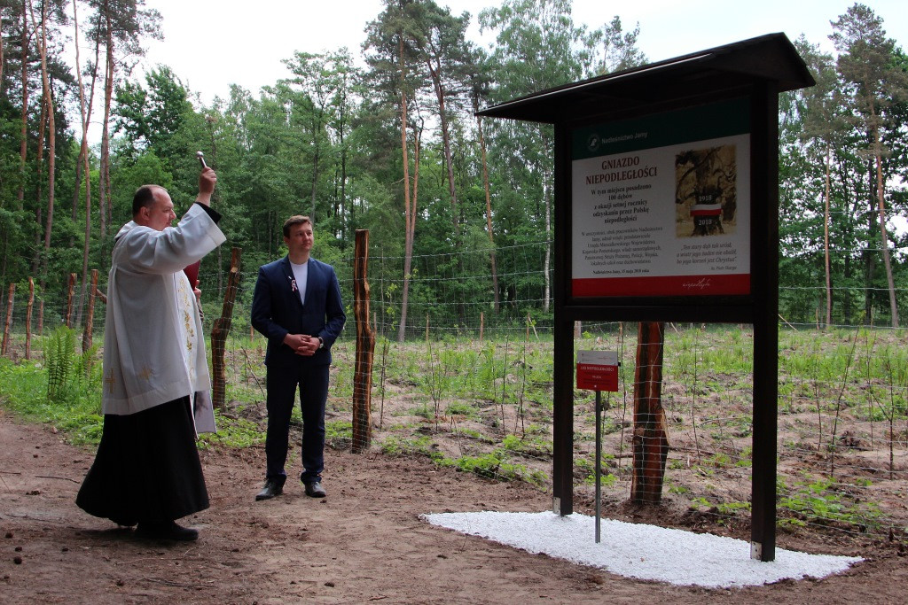 100 Dębów na 100 rocznicę