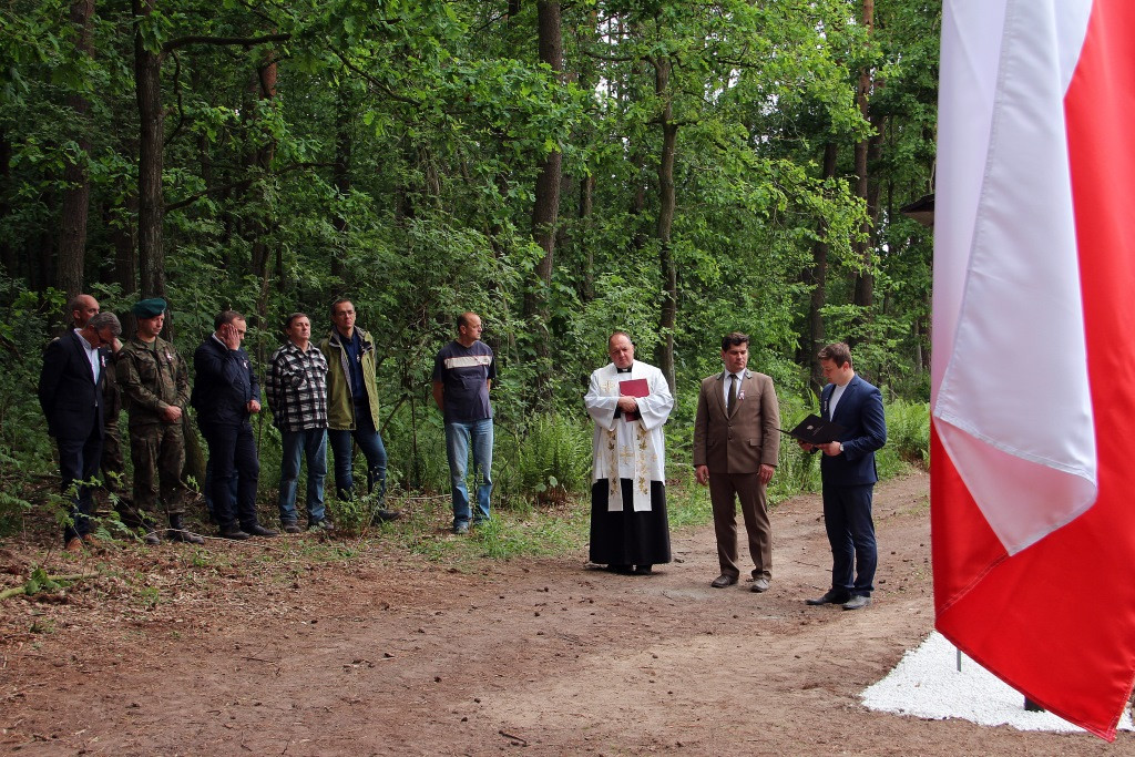 100 Dębów na 100 rocznicę