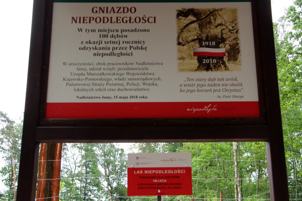 100 Dębów na 100 rocznicę