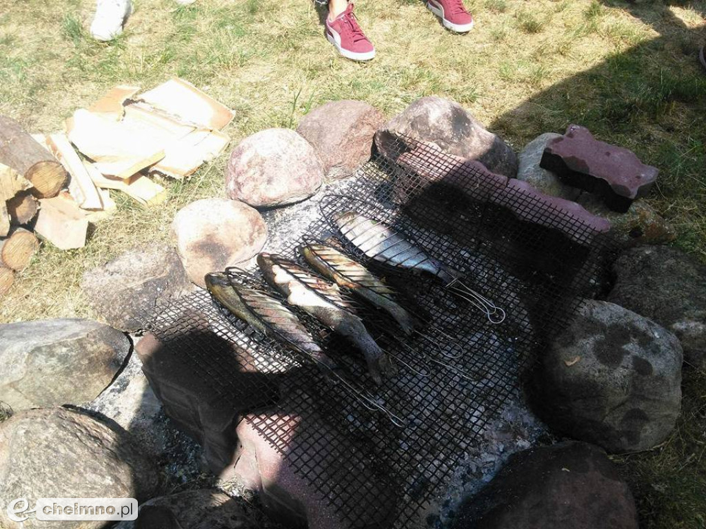 Warsztaty kulinarne: Ryby, raki i ślimaki