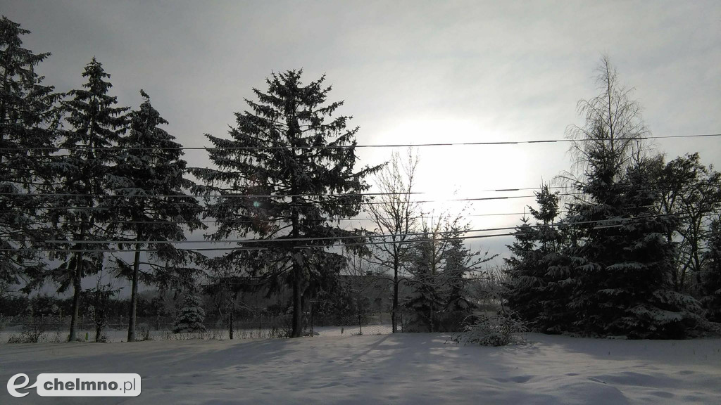 Prace laureatów konkursu pt: Uchwycone przez telefon