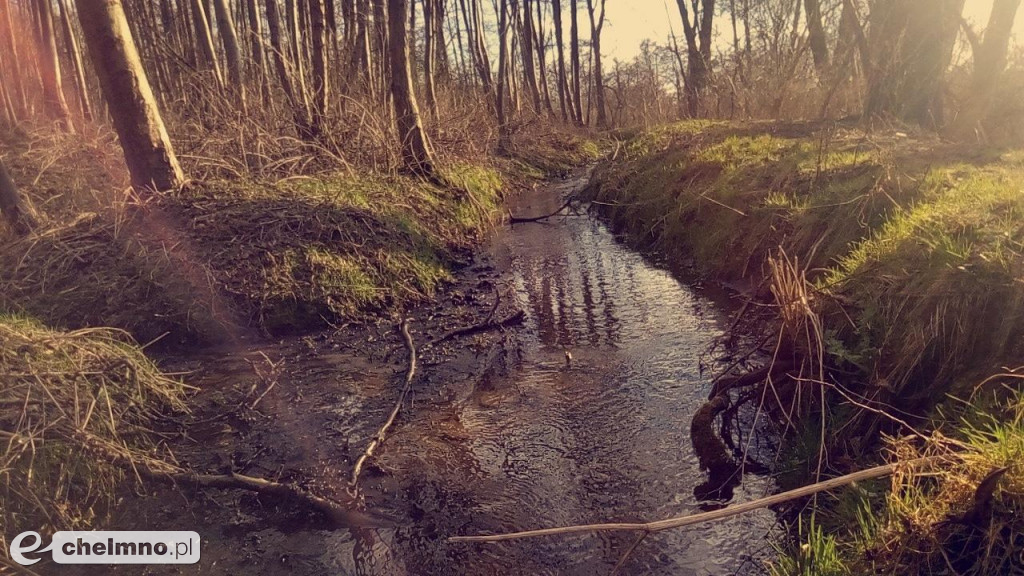 Prace laureatów konkursu pt: Uchwycone przez telefon
